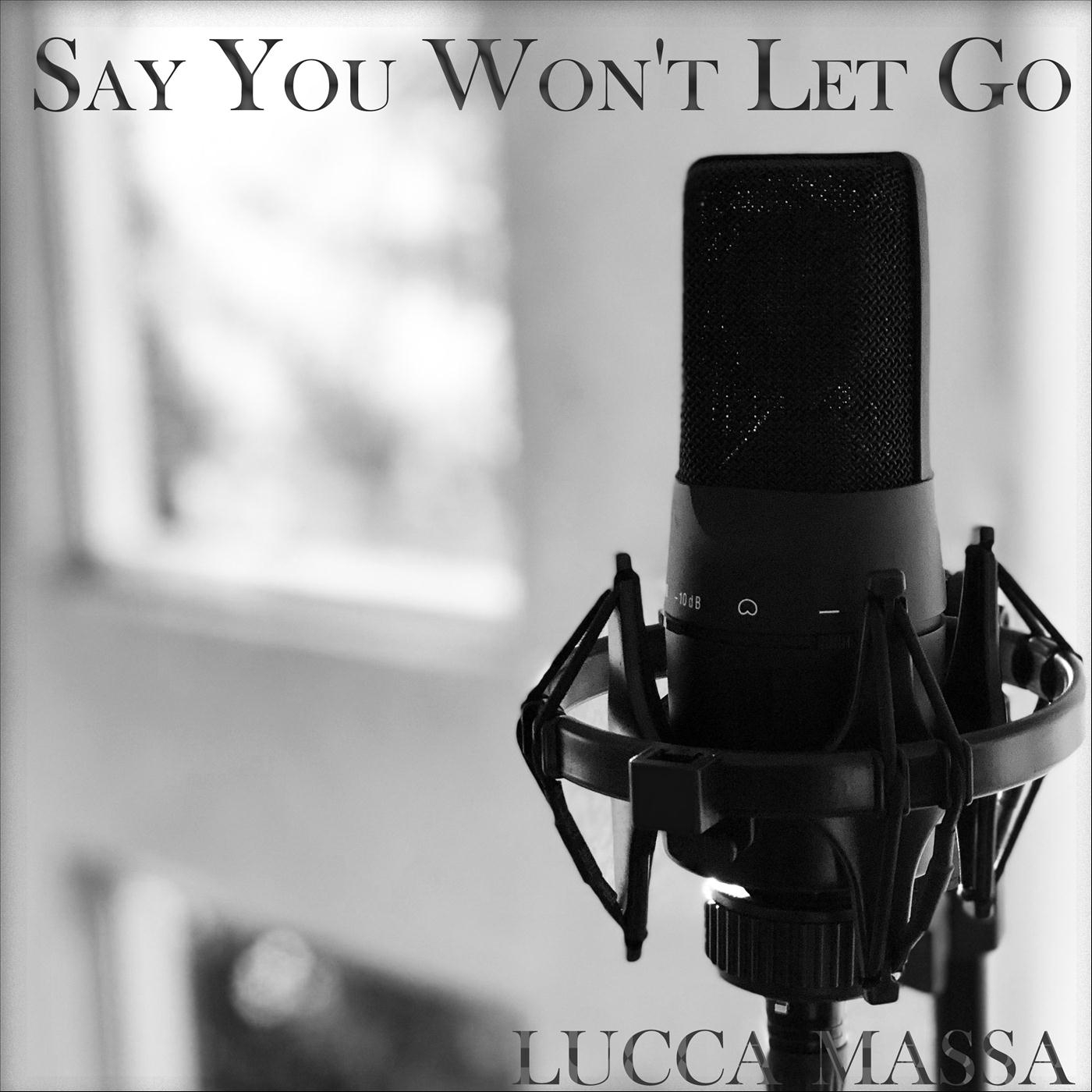 Lucca Massa - Say You Won't Let Go