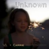 DVHank、蜡笔小心Carrie《Unknown (Remix)》[MP3/LRC]