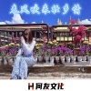 何友 - 奶茶奶茶 (DJ弹鼓版)