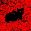 迷幻森林 - 猫