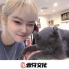 小奶瓶、DJ YiXiu、圈妹、气势冷瞳 - California (DJ版)