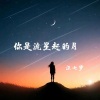 汪七岁 - 你是流星赶得月