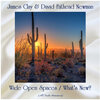 David Fathead Newman、james clay - Wide Open Spaces (Remastered 2016)