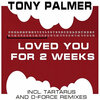 Tony Palmer - Loved You For 2 Weeks