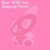 Sleeping Panda - Boy With Luv