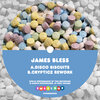 James Bless - Disco Biscuits (Original Mix)