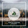 Martin Stürtzer - Larch