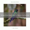 Miraflor - Sleepy Whispers Of Tweets For Refresh And Long Evenings