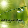 Algodon - Algodon
