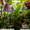 Mr Majestic - GOOAAA (Original Mix)