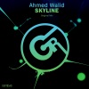 Ahmed Walid - Skyline (Original Mix)