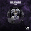 Carlos Fontana - Classic's Never Go Out Of Style (Original Mix)
