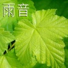 雨-放松 - 雨音,1部