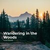 Rainforest Sounds、Forest Sounds、Ambient Forest - Magical Wilderness