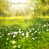 Relaxing Peace - Greensleeves