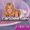 Candee Jay、Michael Woods - If I Were You (MichaelWoodsRemix)