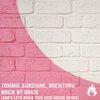 Breikthru、Tommie Sunshine、A.D.R - Brick by Brick (ADR's Let's Build This Acid House Remix)