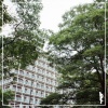 Nova Cheq - Nae Bor