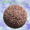 Futuro Pelo、Naive New Beaters - One Way To Go (Futuro Pelo Remix)