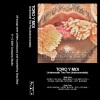 Toro y Moi - Intro / Chi Chi (Instrumental)