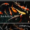 mailin - Bei mir