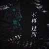 郑雨泽《不再过问》[MP3/LRC]