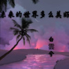 白雲兮 - 感谢你的陪伴 (DJ版)