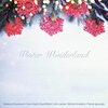 Sami Harb、Michał Grobelny、Mateusz Krautwurst、Patryk Ignaczak、john james、Kamil Bijoś - Winter Wonderland