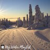 Hammad Rashid - Winter