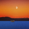 Birdhouse、Bcalm - Jellyfish