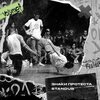 Standub - Знаки Протеста