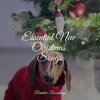 Navidad、Top Christmas Songs、The Christmas Chorus - A Time to Remember