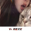 苏可可、小奶瓶、虞姬、达文西 - 耍猴儿 (DJ版)