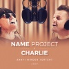 Name Project、Charlie《Annyi minden történt 2020 (Symphonic Show Version)》[MP3/LRC]