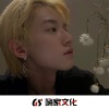 刘志强、萧鹏、周小沫 - 嗨式不去不去怕了怕了 (DJ版)