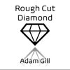 Adam Gill - Rough Cut Diamond