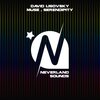 David Lisovsky - Muse