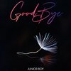Junior Boy - GoodBye (Explicit)