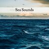 Sea Sounds、Nature Sounds - Seas Sound