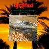 DJ Rafael、Washington - You miss me you can't wait to see me (Explicit)