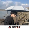 苏瑾沫、糖爷、洛伊之恋、赵小涣 - 风趣至极 (DJ版)