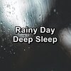 Rain Sounds HD、Rain for Sleeping、Rain Sound Studio - Calm Rain with Thunder and White Noise To Loop for 10 Hours