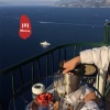苏6、虞姬、圈妹、小奶瓶 - 离人盼
