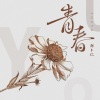 郑卜仁 - 青春