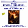 Zoltan Kodaly Female Choir、Ilona Andor、Gábor Lehotka - Der 13. Psalm, Op. 27: Der 13. Psalm. Op. 27