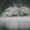 Kaygo The Kid - Feeling Strange