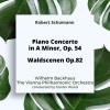 the vienna philharmonic orchestra、Günter Wand、Wilhelm Backhaus - I. Allegro affetuoso