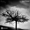 F.G.G.、Federico Máximo Gelabert García - Fallen Leaves