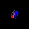SWABA BEGGINS、neko - TUTTONORMALE (Explicit)