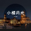 王飞浩 - 小楼月光